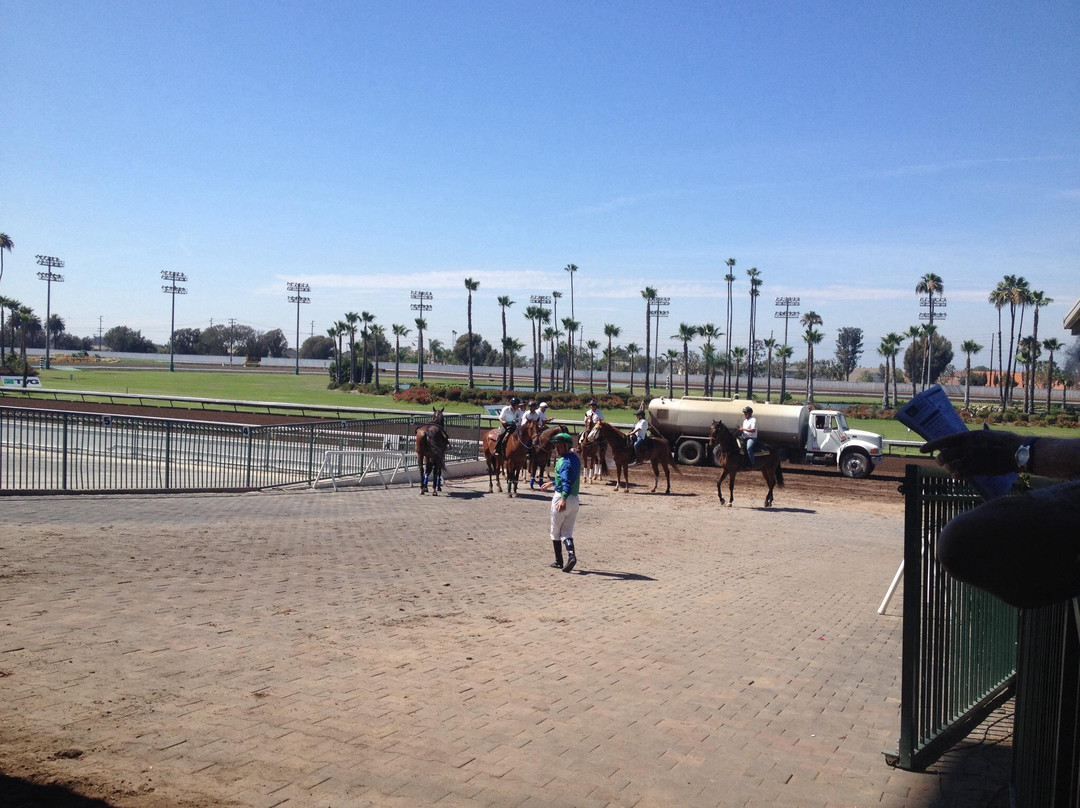 Los Alamitos Race Course-洛斯阿拉米托斯必去景点