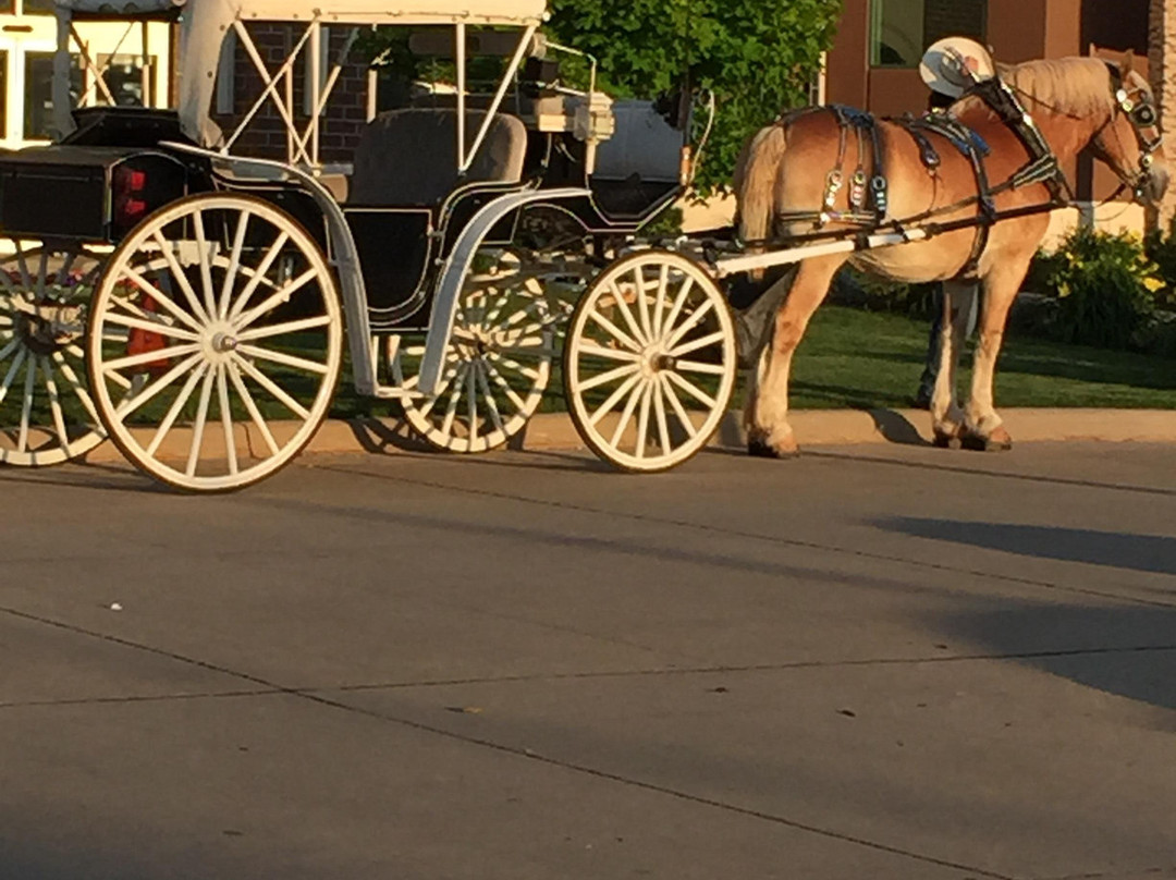 Grand Harbor Resort and Waterpark-迪比克必去景点
