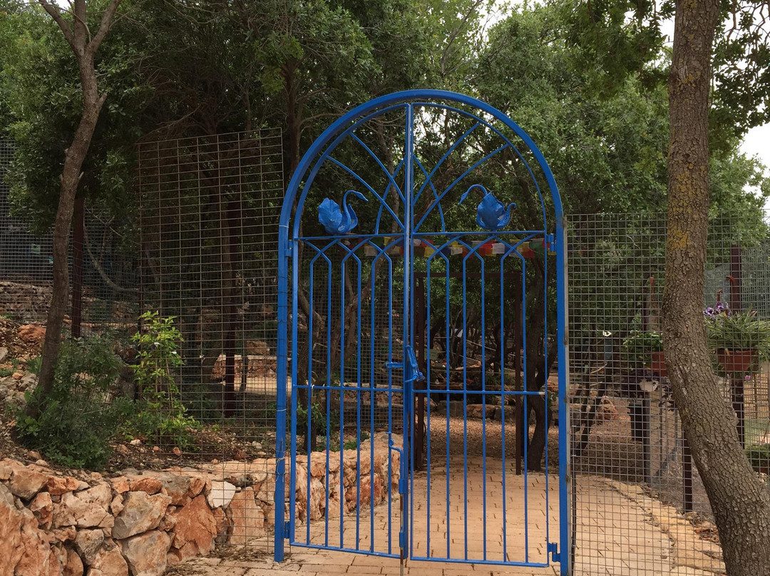 Yodfat Monkey Forest-Yodfat必去景点