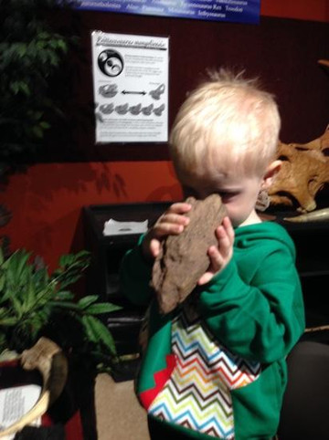 Alaska Museum of Science & Nature-安克雷奇必去景点