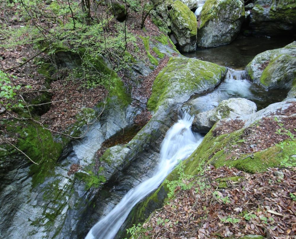 Hyakuhironotaki Falls-奥多摩町必去景点