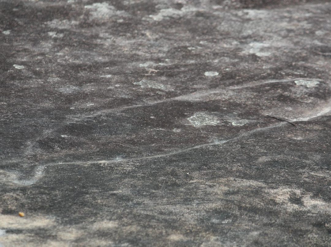 Bulgandry Aboriginal Engraving Site-Kariong必去景点