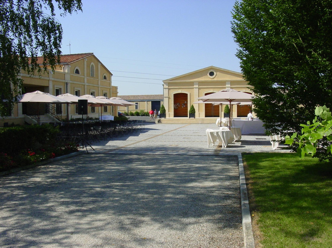 Chateau Bertinerie景点图片