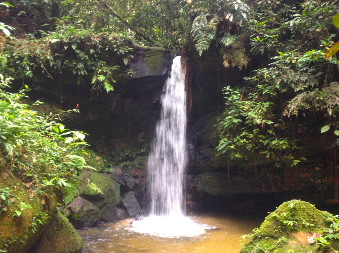 Serra do Divisor National Park景点图片