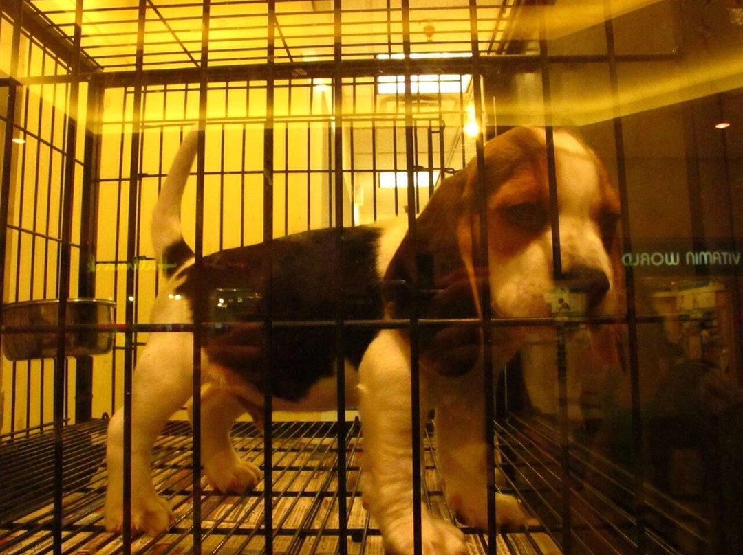 Post Oak Mall-大学城必去景点