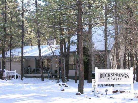 Buck Springs Resort