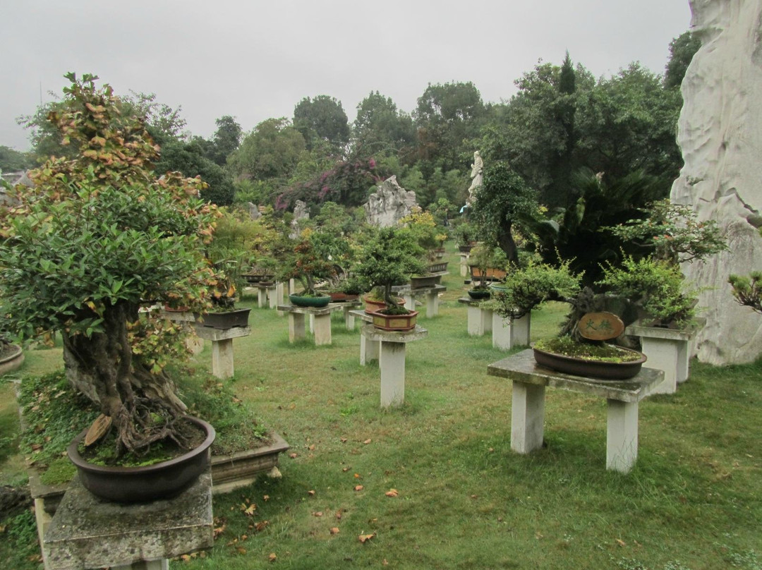 黄果树盆景园-镇宁布依族苗族自治县必去景点