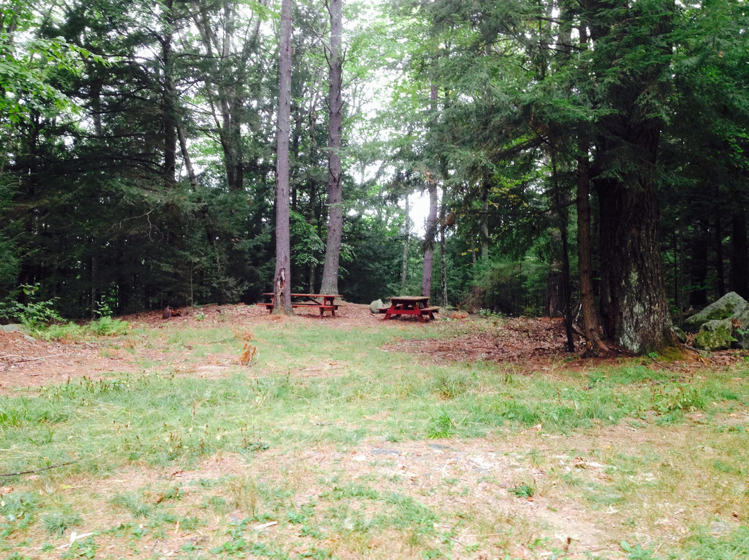 Bearsden Conservation Area-Athol必去景点