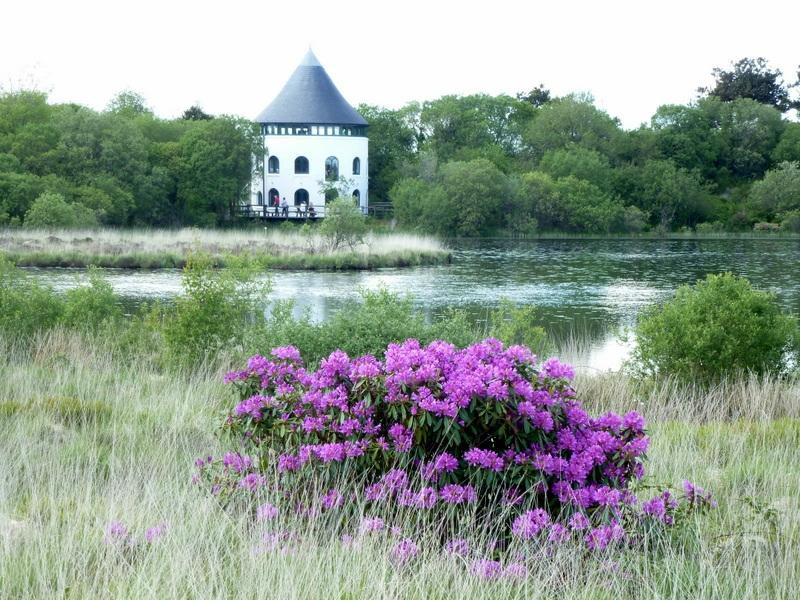 Llyn Llech Owain Country Park-Gorslas必去景点