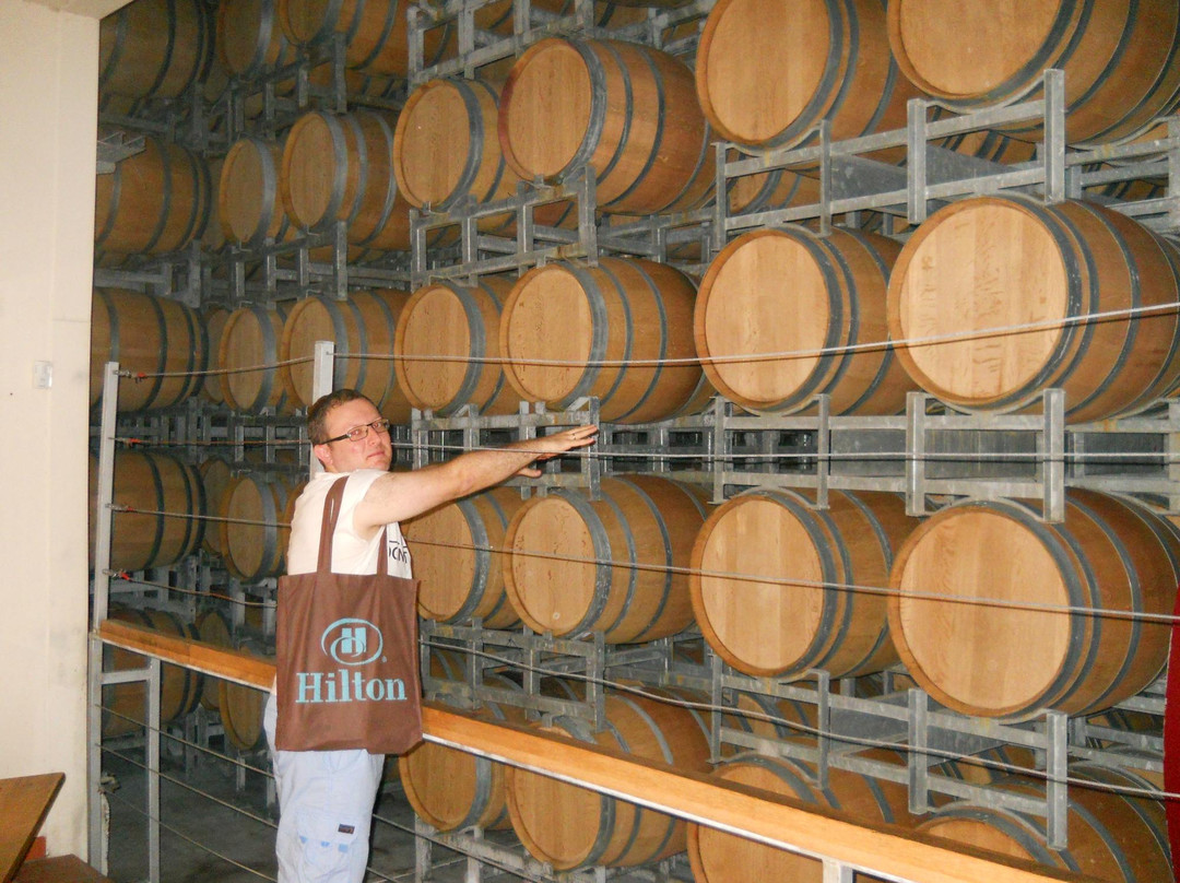 Tabor Winery-Kfar Tavor必去景点