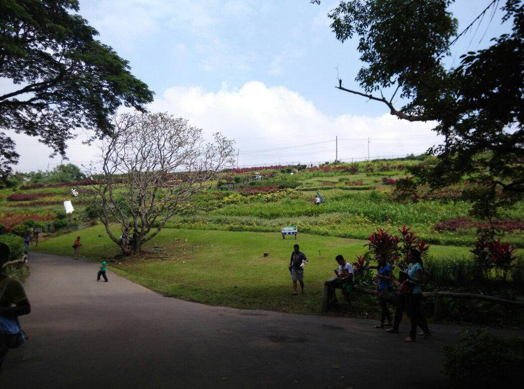 La Mesa Eco Park景点图片
