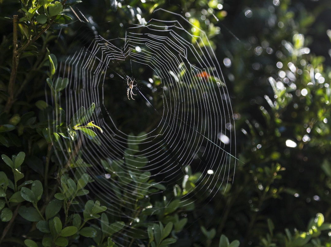 Jou-La Cauba Rock Trail-Erts必去景点