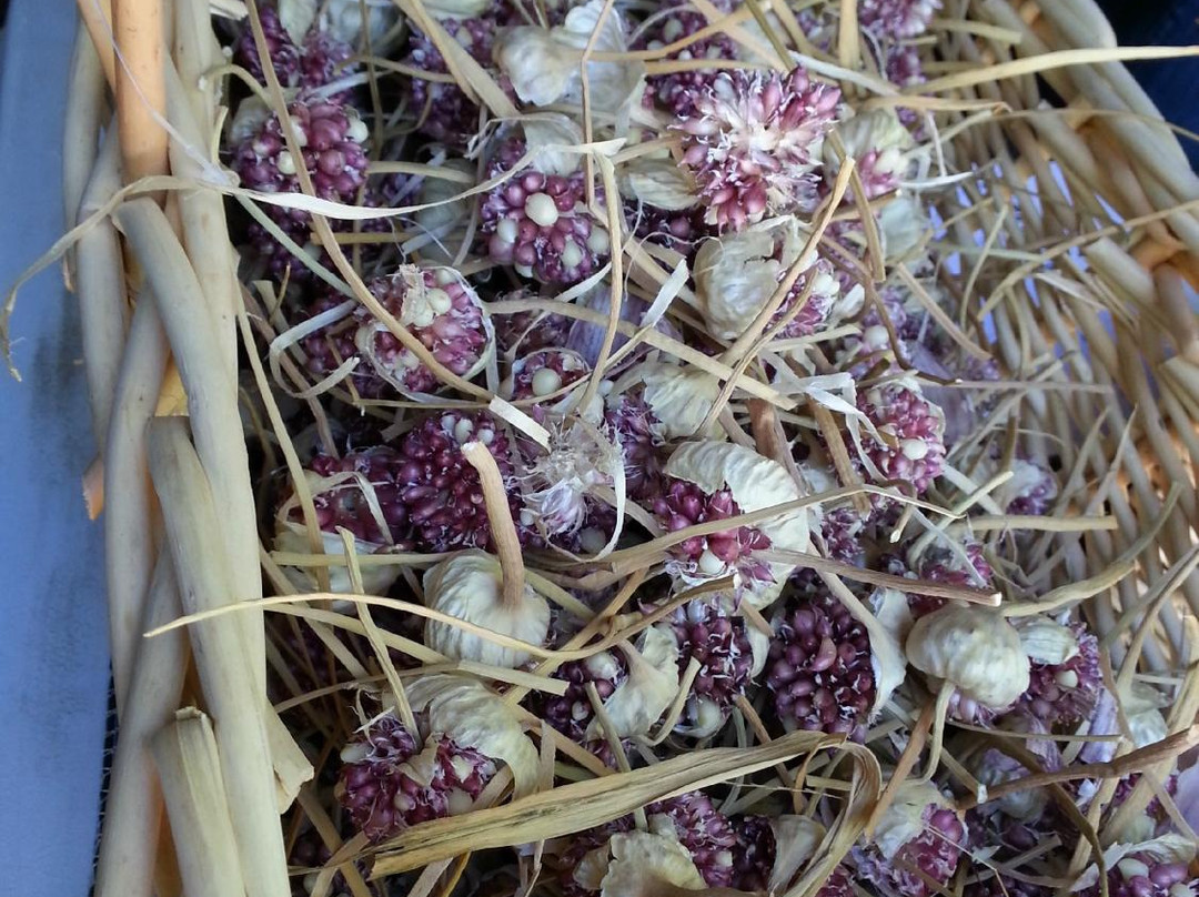 Mansfield Farmers' Market-曼斯菲尔德必去景点