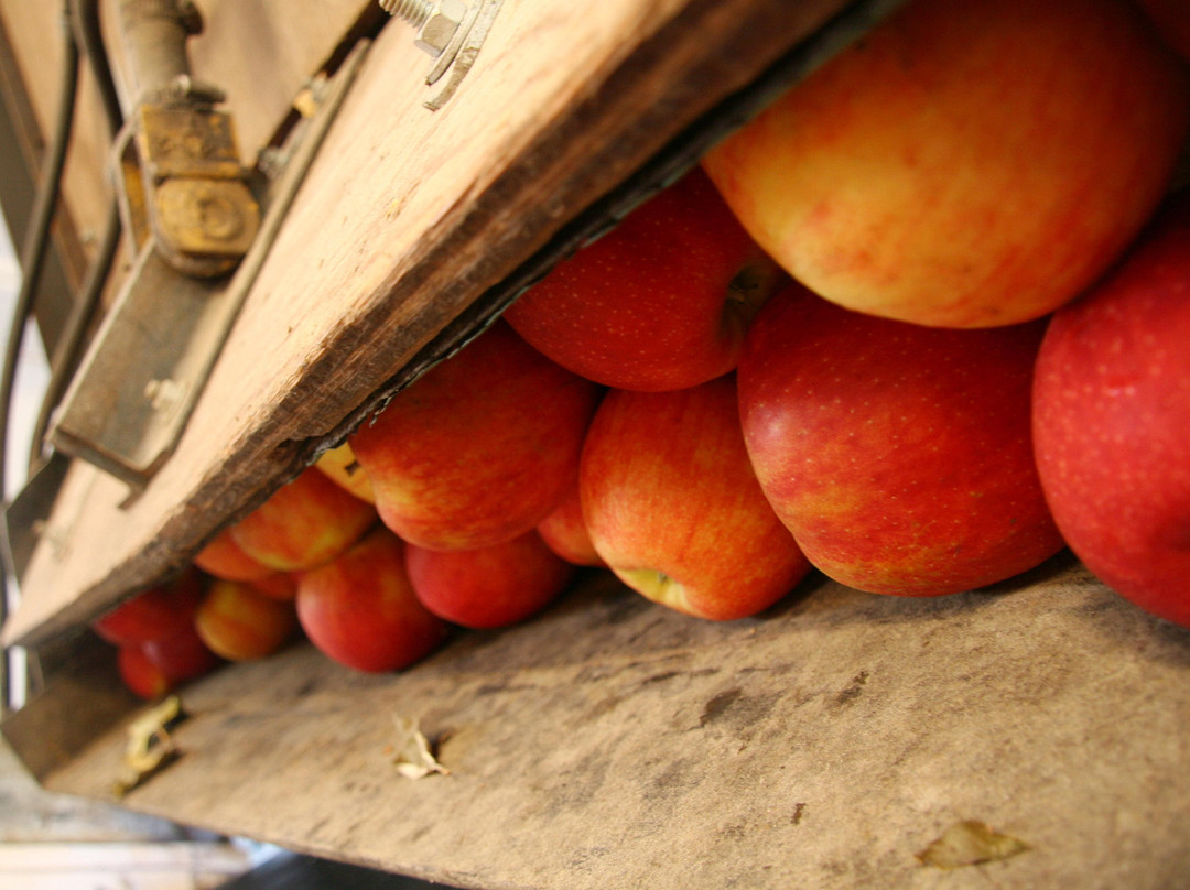 The Blue Mountain Cidery-Milton Freewater必去景点