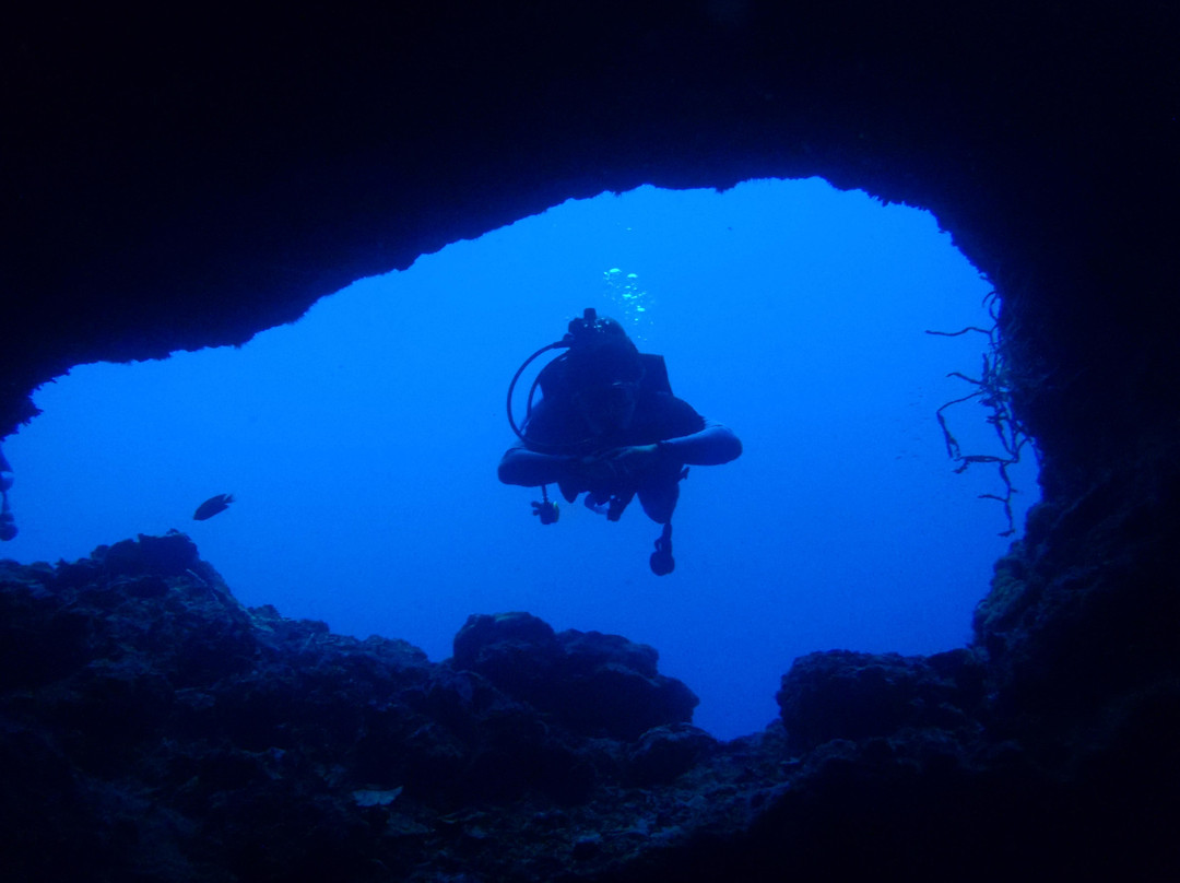 Lion Dive Centre景点图片