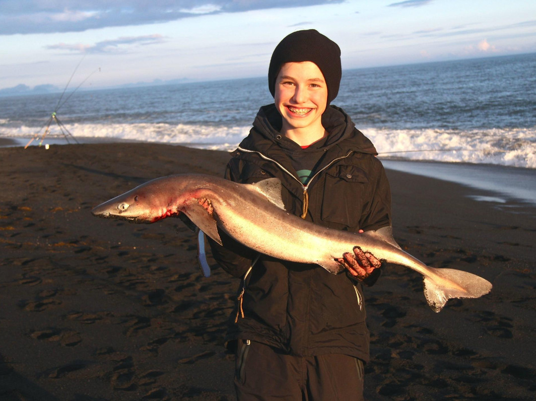 MudShark Tours-海拉必去景点