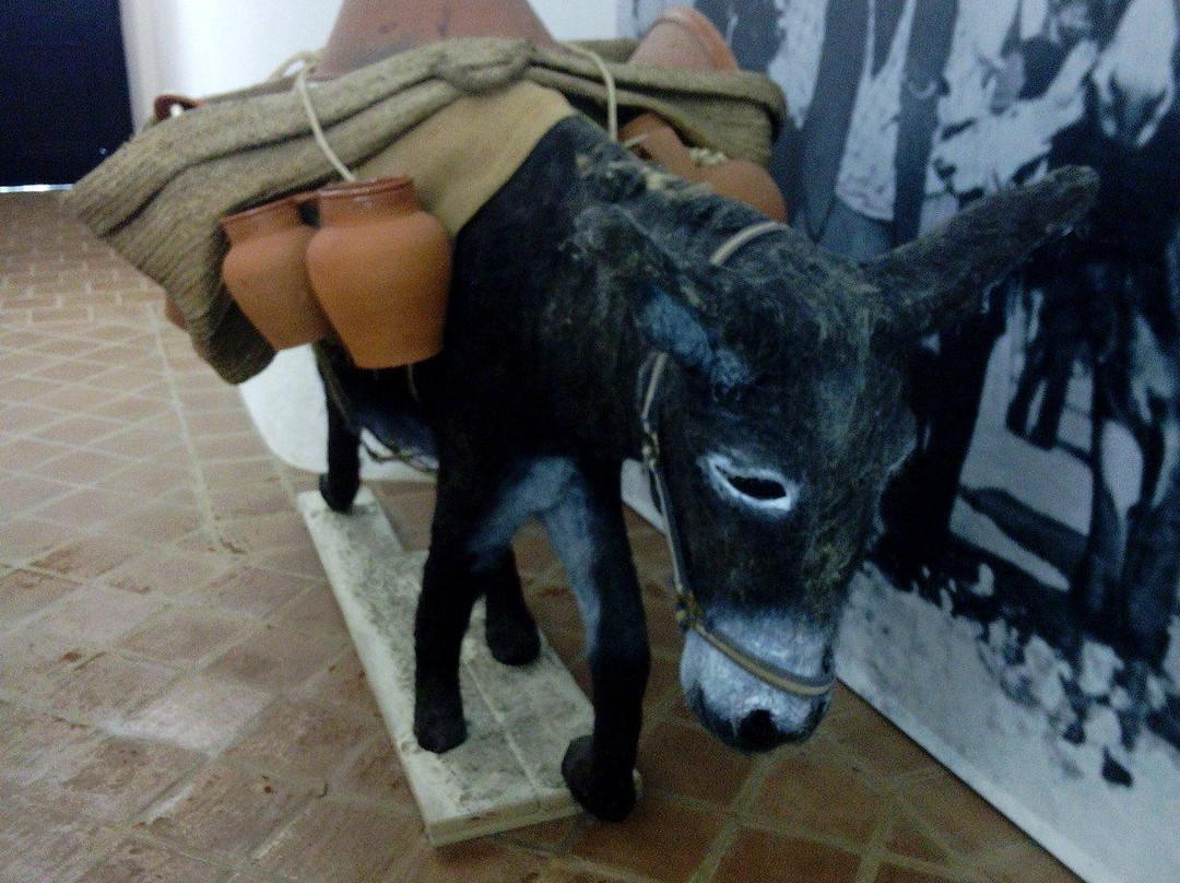 Museu Do Barro-Redondo必去景点