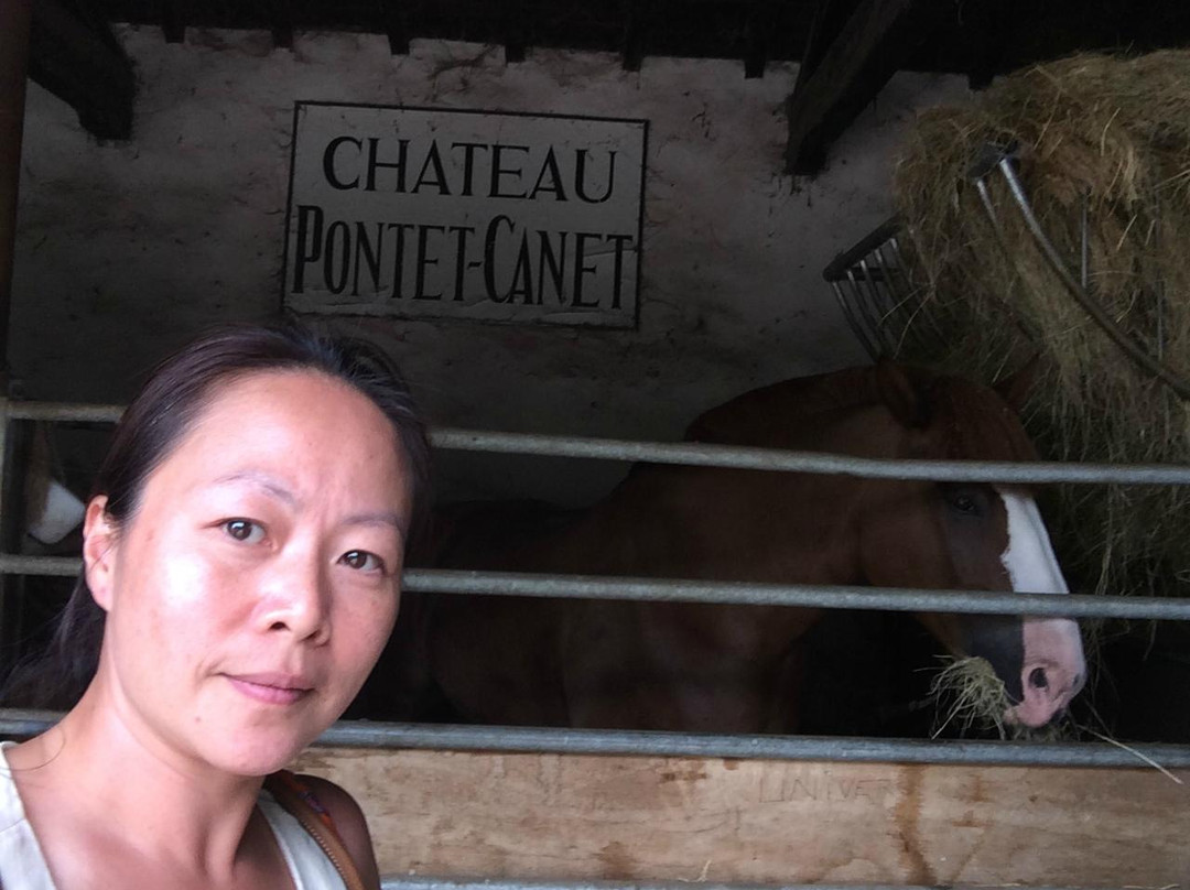 Chateau Pontet-Canet景点图片