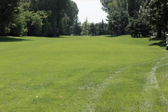 Golf Club Le Rovedine景点图片