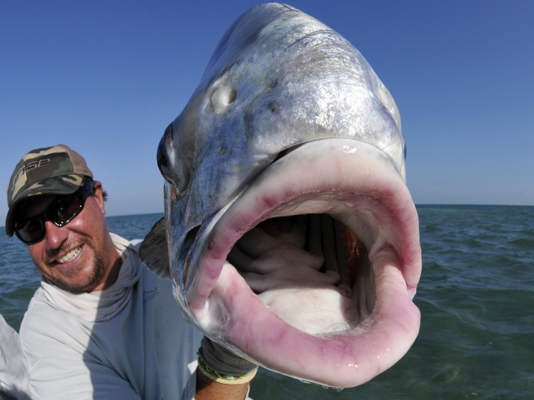 Sting Rea Private Charters-Summerland Key必去景点