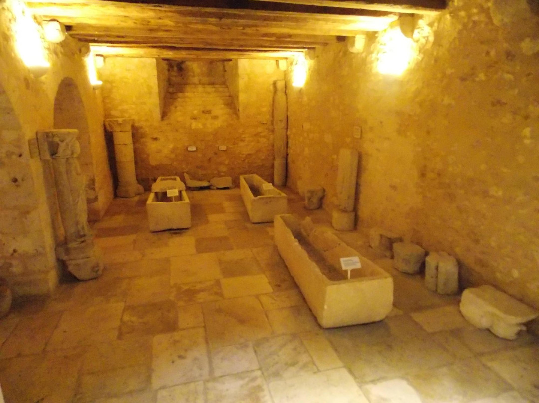 Musée de Provins et du Provinois景点图片