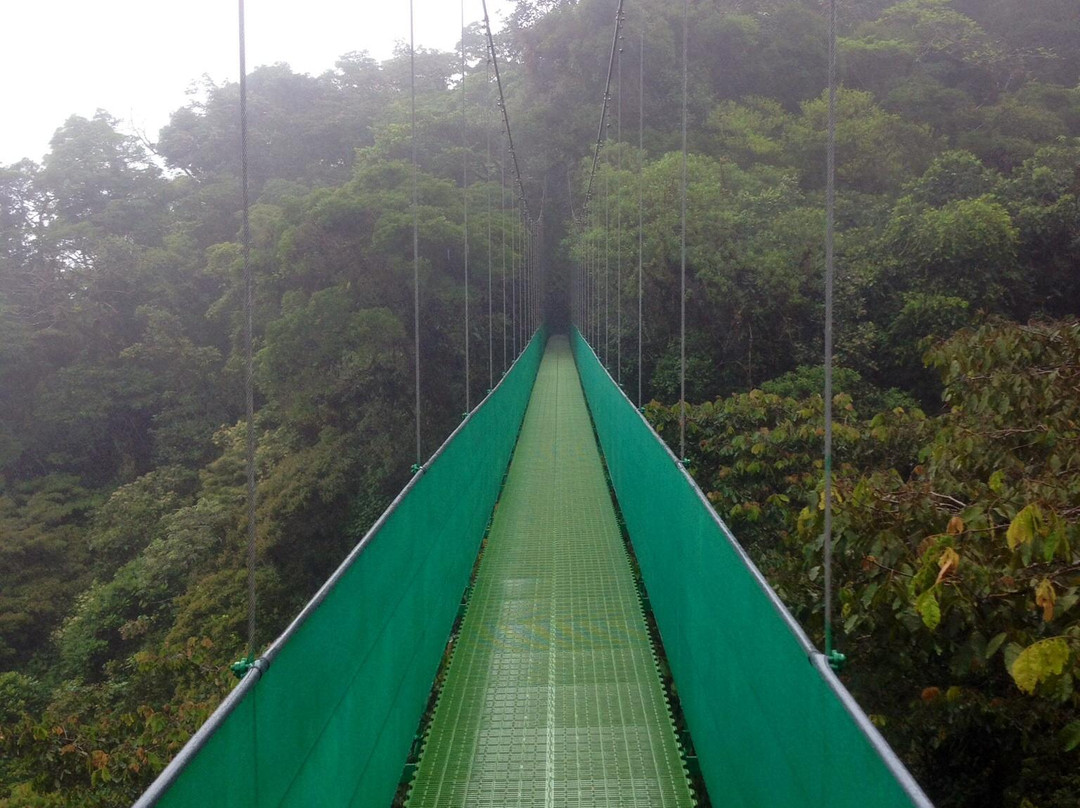 Santa Elena Skywalk景点图片