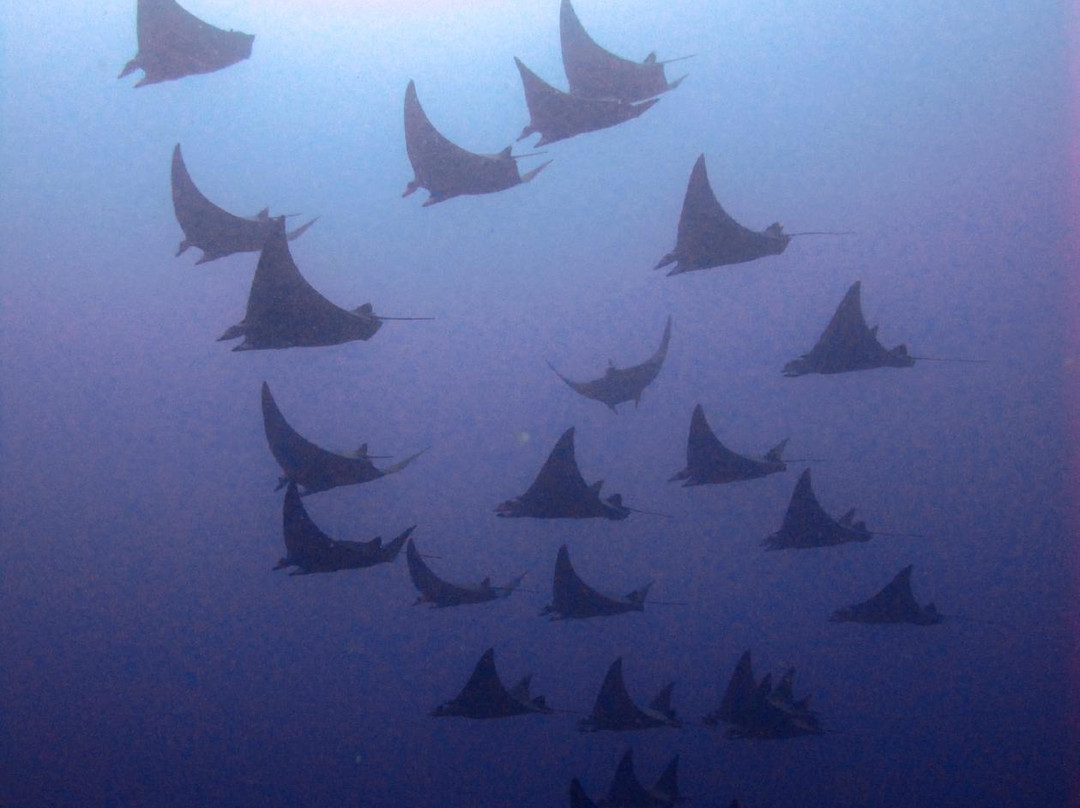 Barra Dive Resort-Inhambane必去景点