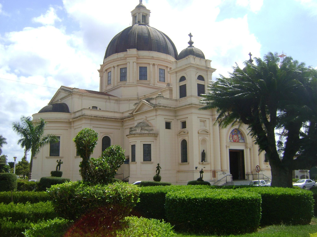 Cônego Joaquim Alves Park景点图片