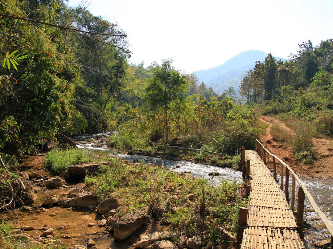 Green Hill Valley Elephant Camp- Day Tours-格劳必去景点