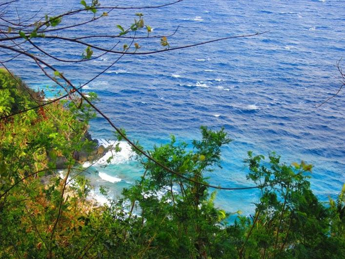 David's Trek-Apo Island必去景点