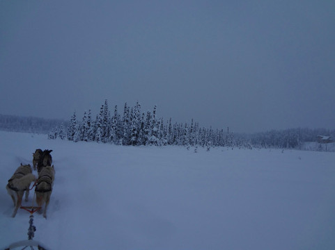 Salmon Berry Travel & Tours-安克雷奇必去景点