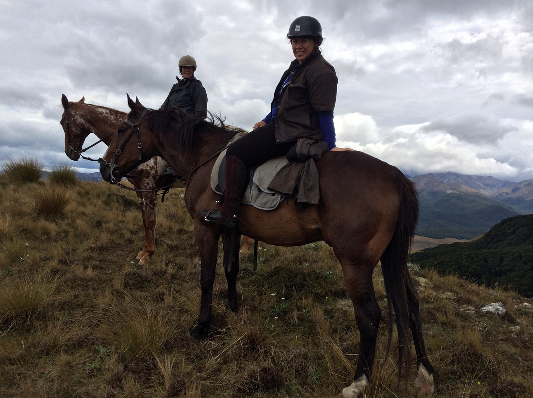 Beaumont High Country Experience景点图片