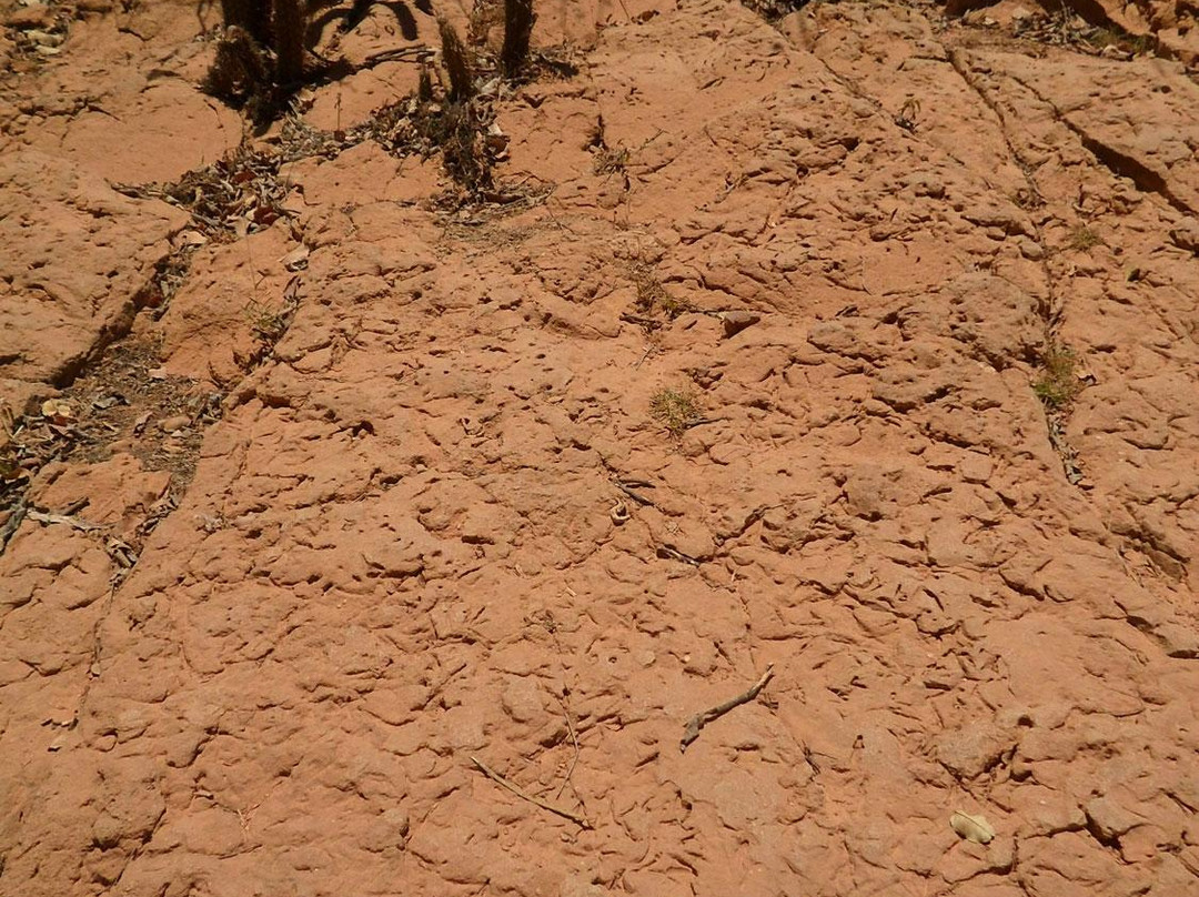 Geossitio Cachoeira de Missão Velha-Missao Velha必去景点