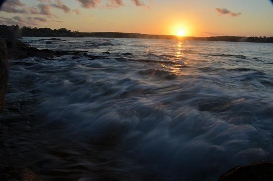 Cronulla & National Park Ferry Cruises-克罗纳拉必去景点