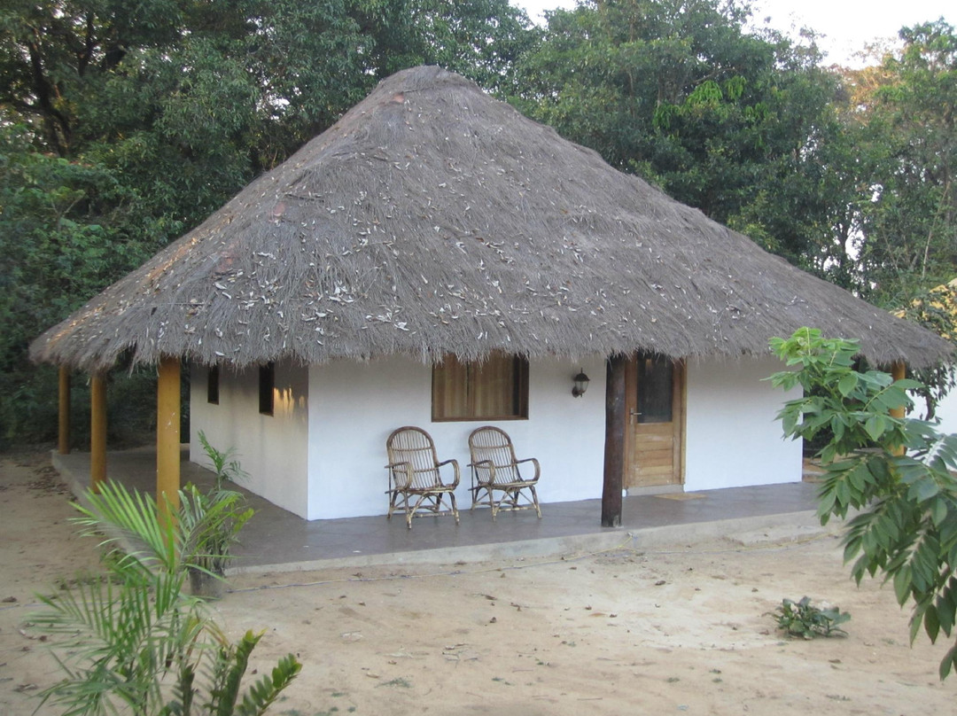 Dandeli Mist Jungle Stay