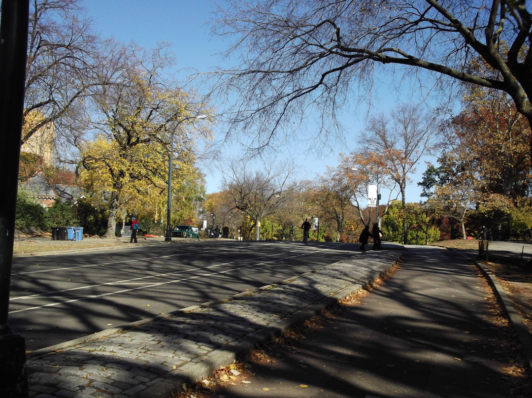 中央公园-纽约市必去景点