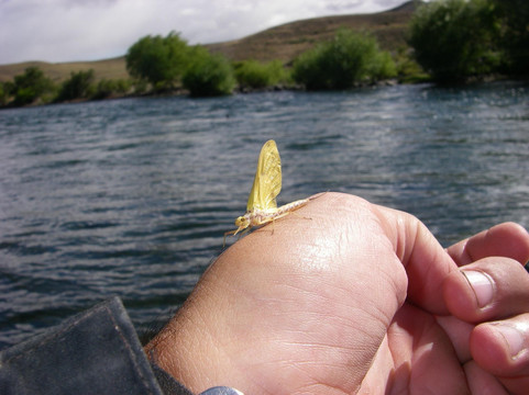 Flotadas Chimehuin-Junin de los Andes必去景点