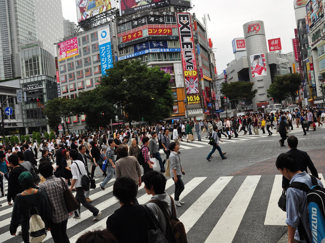 涩谷全向十字路口-涩谷区必去景点