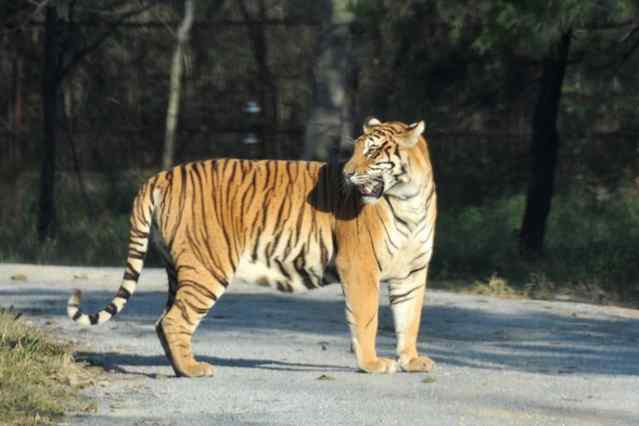 秦皇岛野生动物园-秦皇岛市必去景点