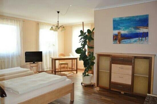 Hotel Donau-Ries主图