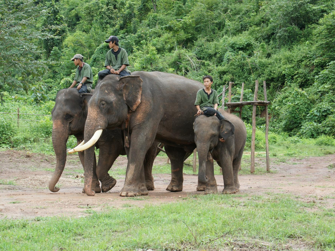 Green Hill Valley Elephant Camp- Day Tours-格劳必去景点