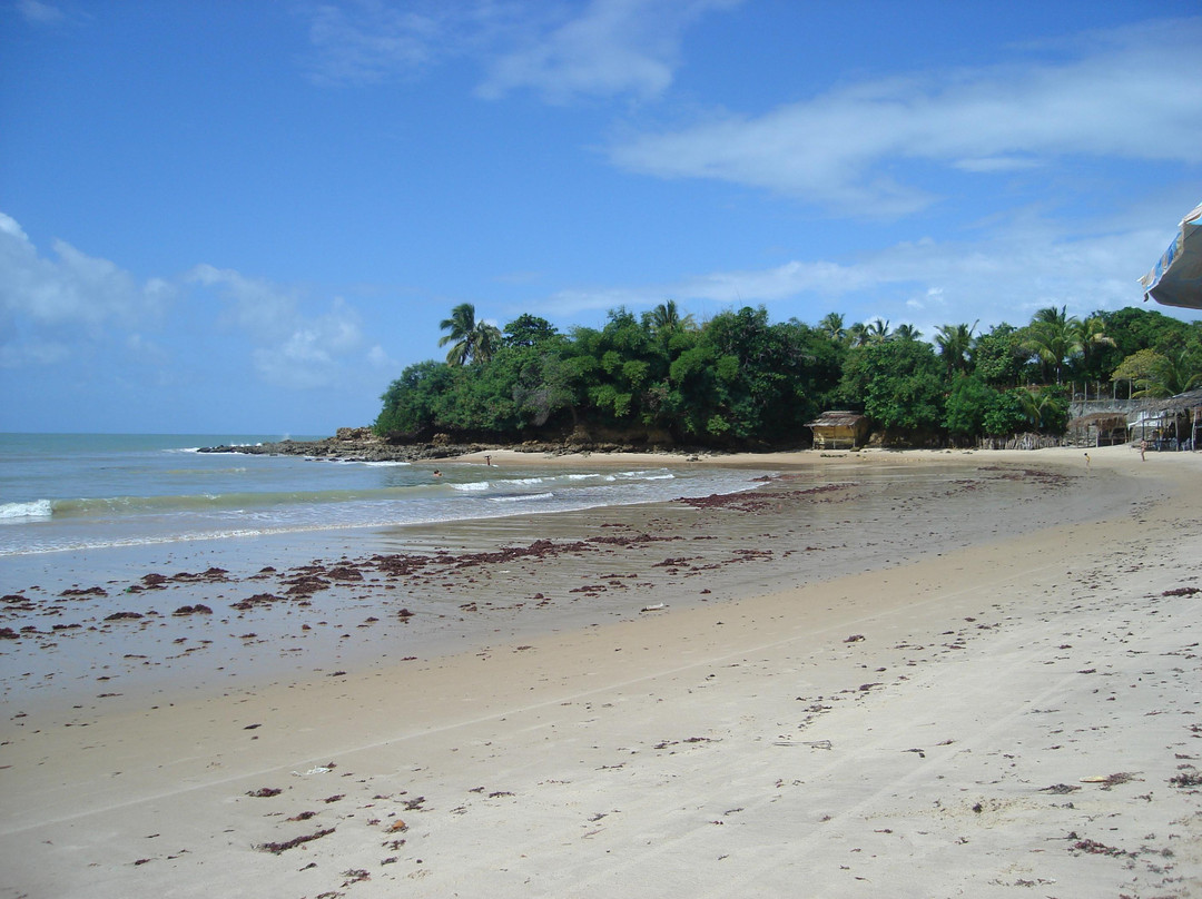 Praia Jacumã-Conde必去景点