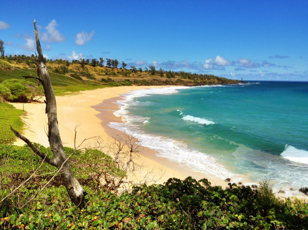Moana Kai Beach Houses