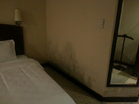 湖南天玺海航大酒店-客卧