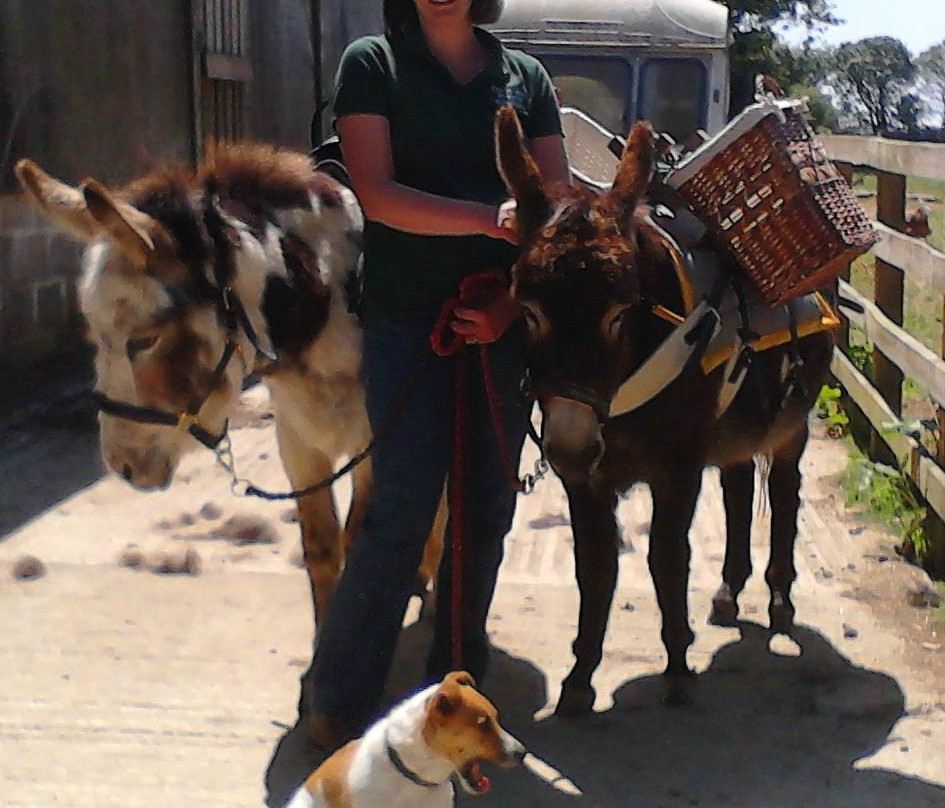 Countryside Donkeys - Private Treks-Lanreath必去景点