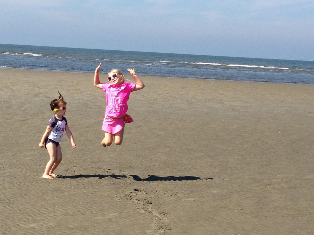 Harvey's Beach-旧塞布鲁克必去景点