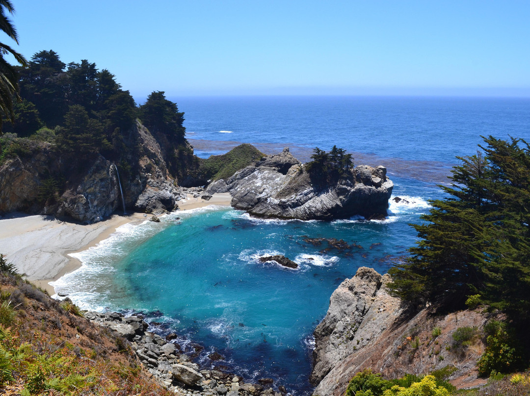 朱莉娅·菲佛·伯恩斯州立公园-大苏尔必去景点