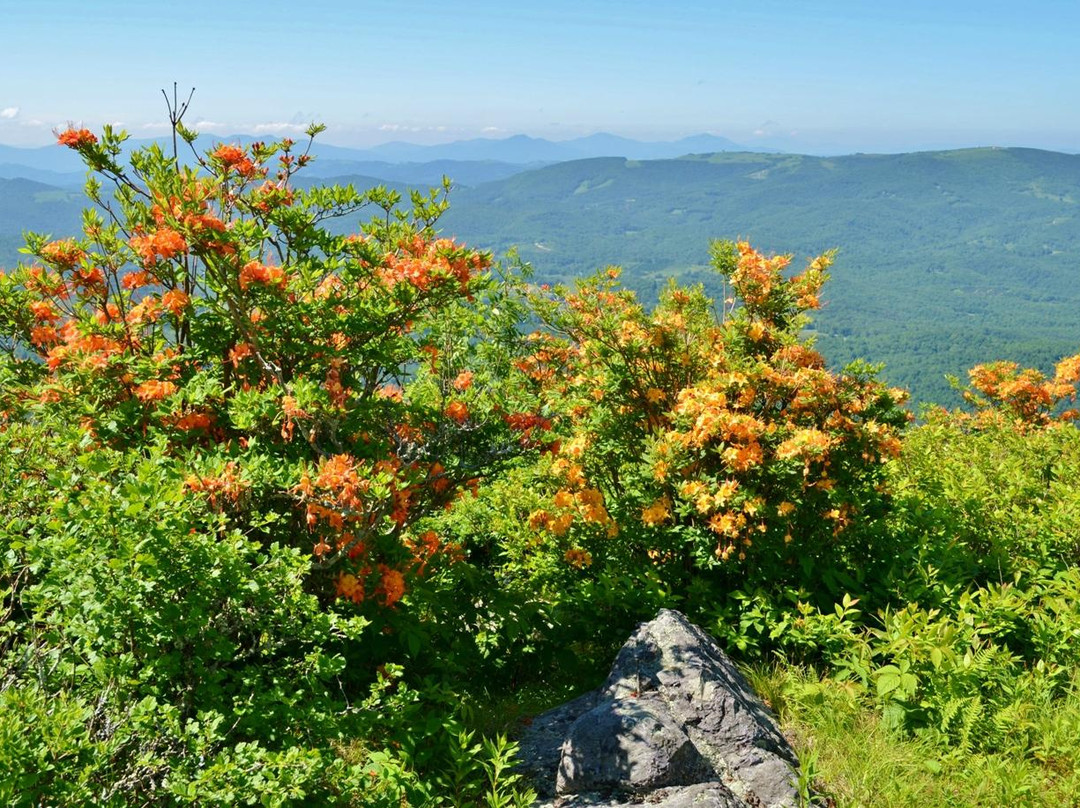 Mount Rogers National Recreation Area-Marion必去景点