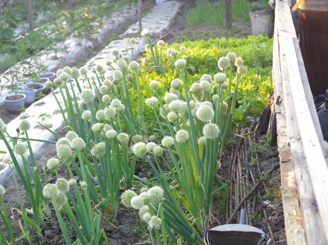 北极村得意居农家院主图