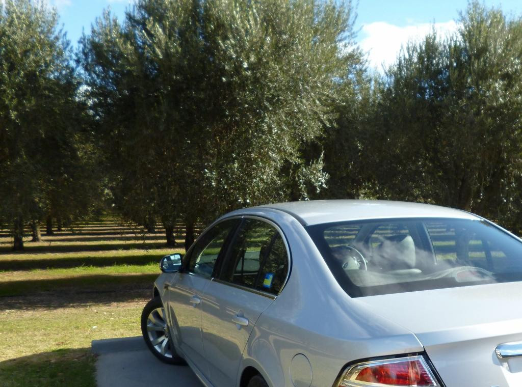 Pukara Estate-Muswellbrook必去景点